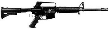 Oly_Car97_nam_Med.jpg