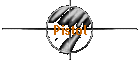 Pistol