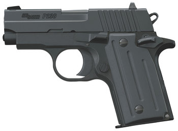 Sig Sauer P238 Nitron | 380 Auto | Micro-Compact