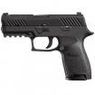 Sig Sauer P320 Nitron | 45 ACP | Compact