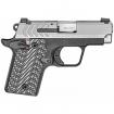 Springfield Armory 911 | 380 ACP | Stainless